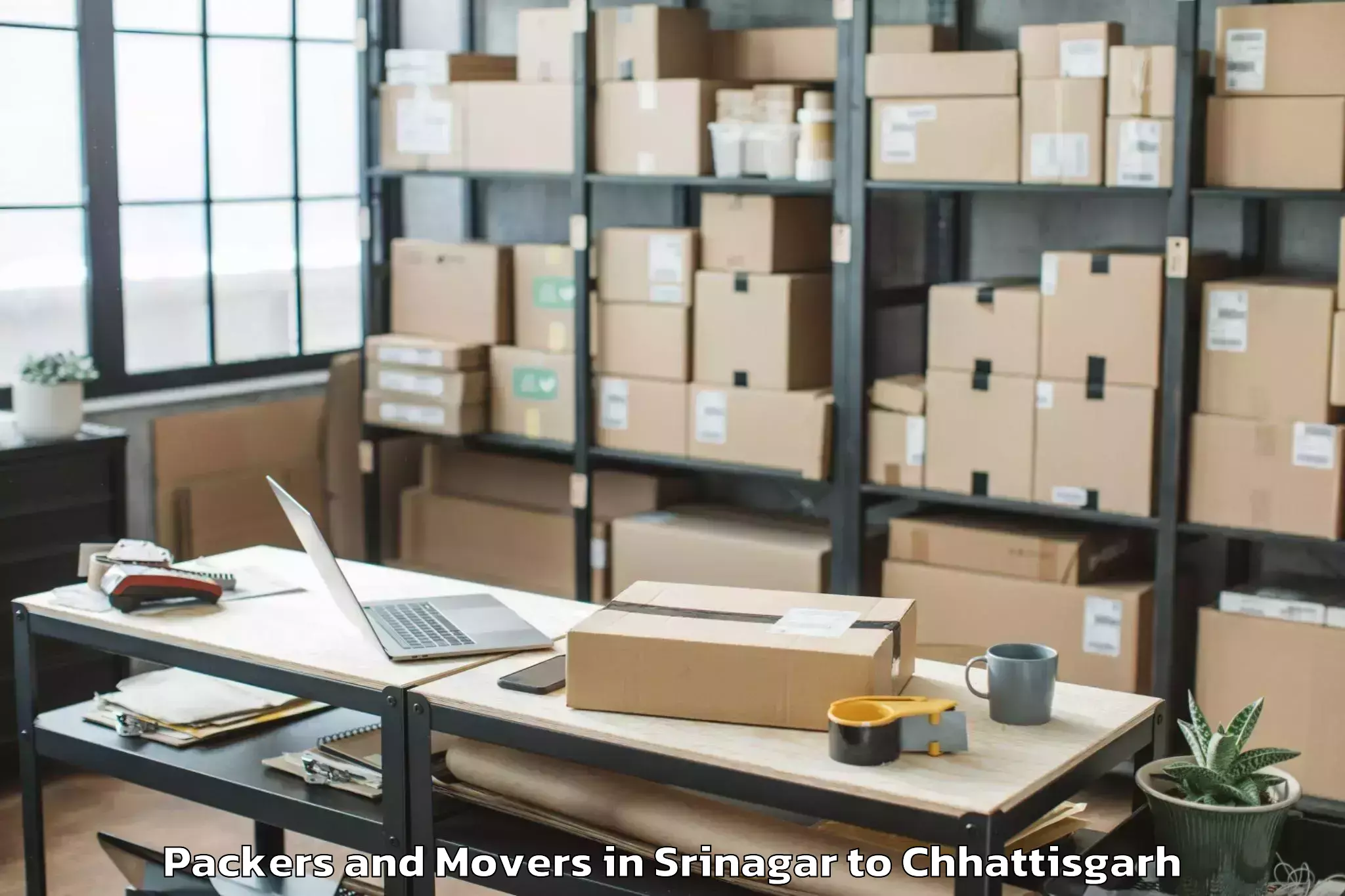 Professional Srinagar to Gariaband Packers And Movers